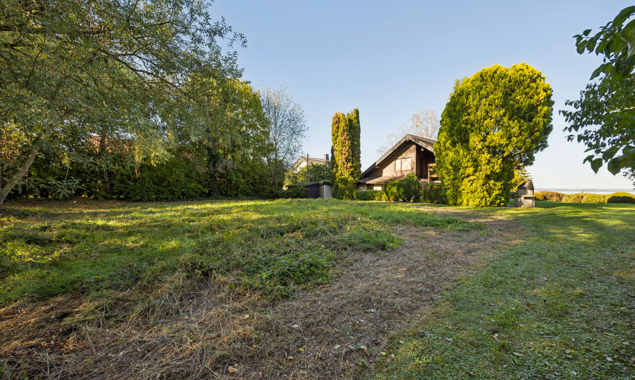 garten mit day time