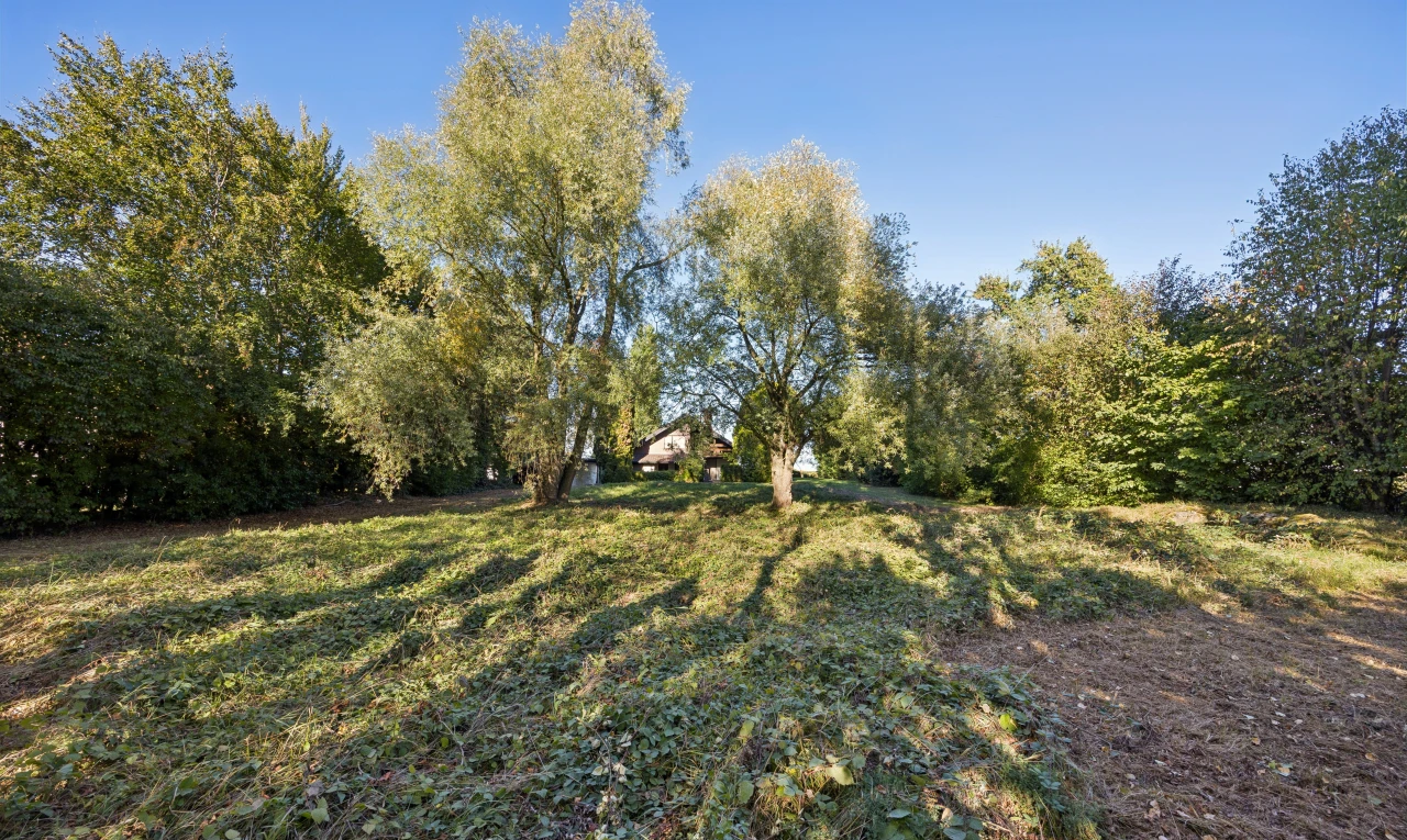 garten mit day time und unknown