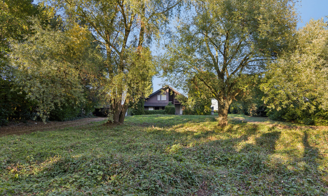 garten mit property visible, day time, rasen, waldblick, und woods view