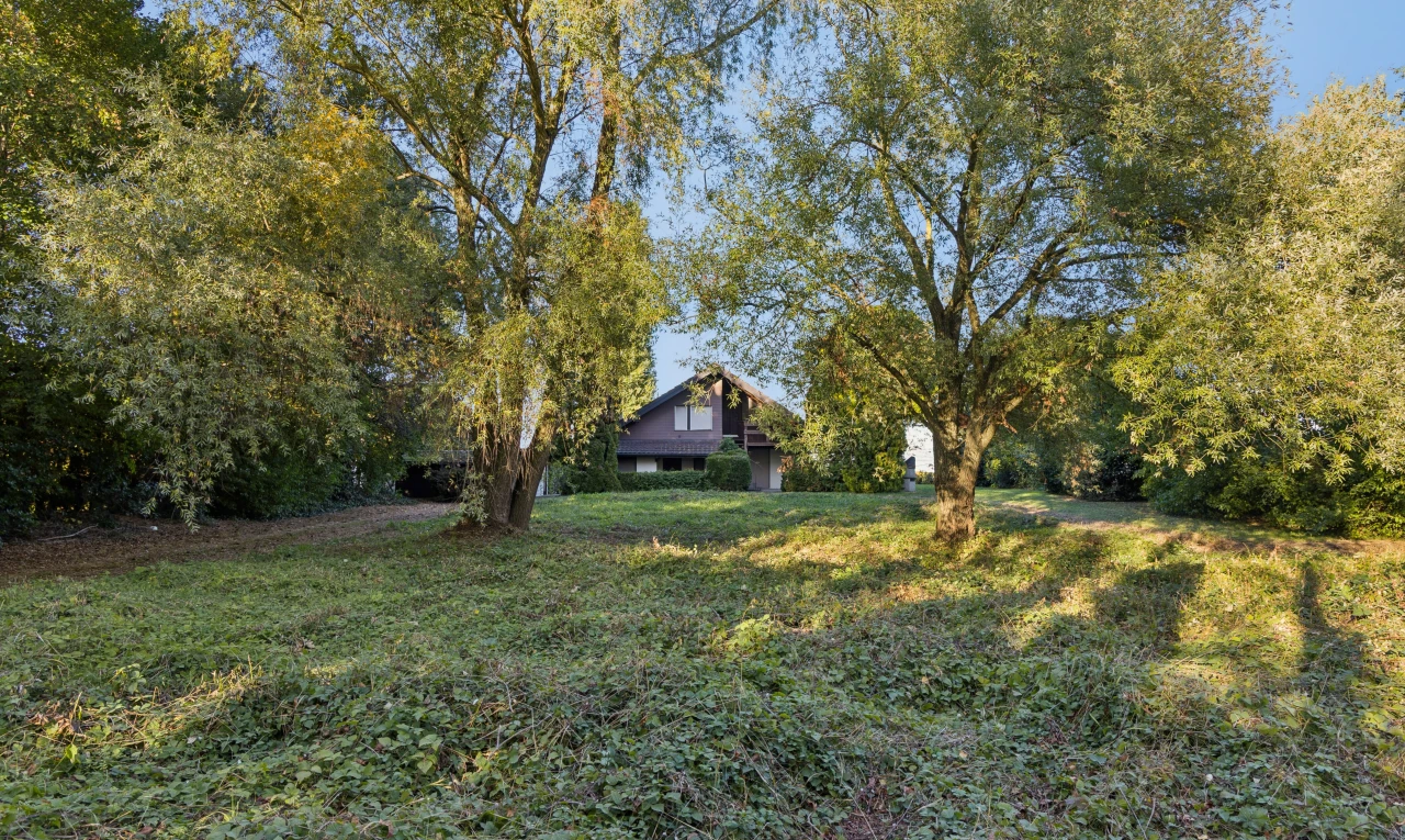 garten mit property visible, day time, rasen, waldblick, und woods view