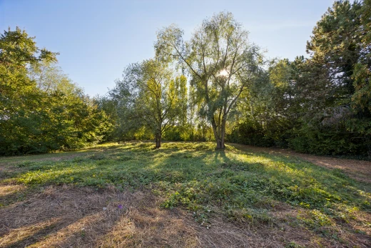garten mit unknown und day time