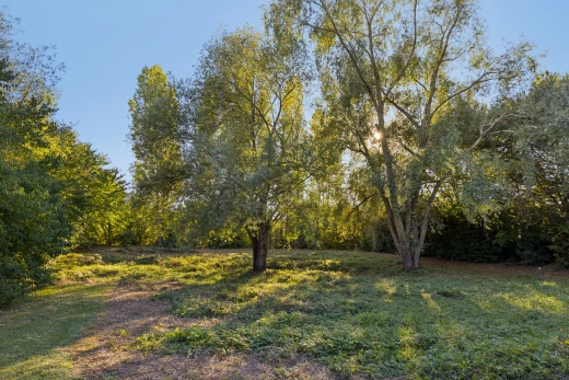 garten mit unknown