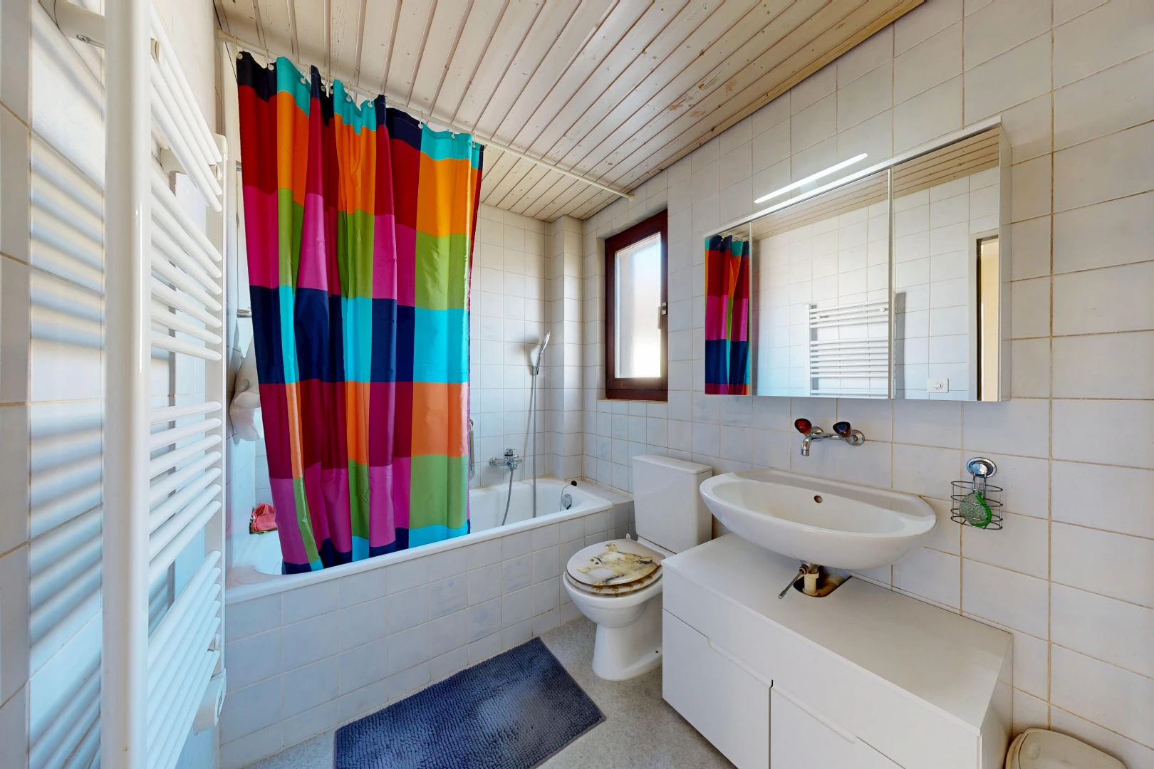 salle de bains avec chauffe-serviettes, radiateur, miroir, douche-bain combinés, et salle de bain complète