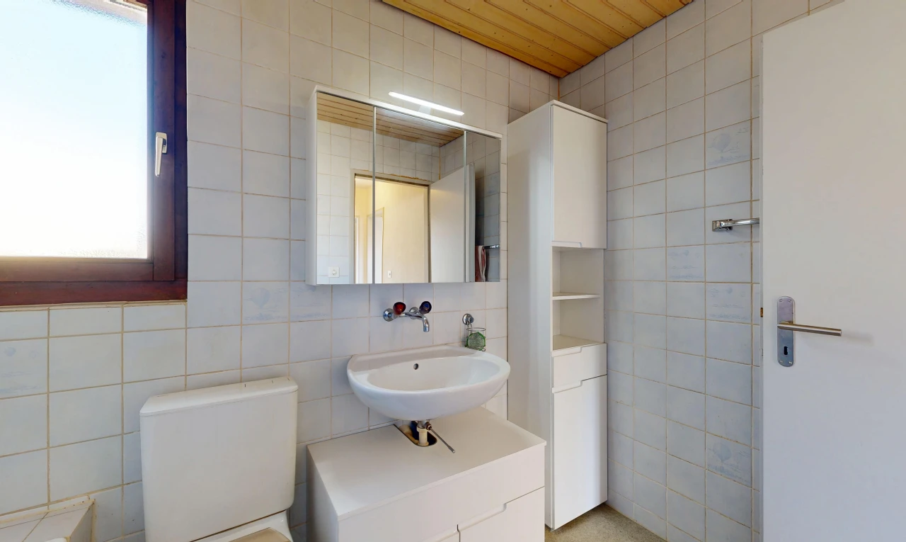 salle de bains avec toilette, mur en carrelage, tile wall, miroir, et évier