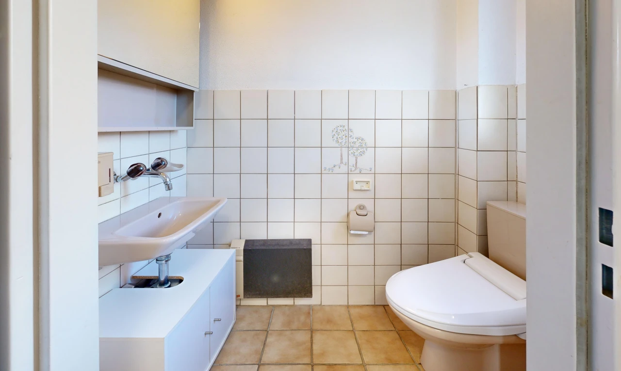 salle de bains avec toilette, miroir, évier, mur en carrelage, et tile wall
