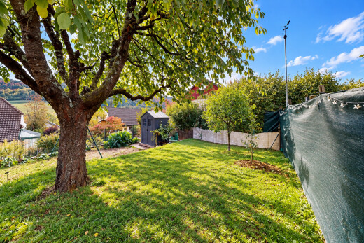 garten mit zaun, rasen, from property, schuppen, und außenansicht