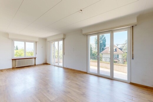 leerer raum mit holzfußboden, wood finish floor, natürliches licht, natural light, und day time