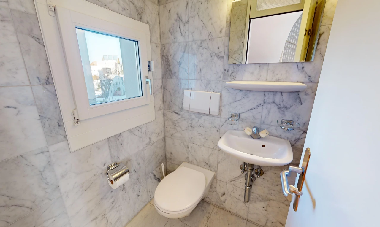 bad mit toilette, natürliches licht, fliesenwand, und spiegel