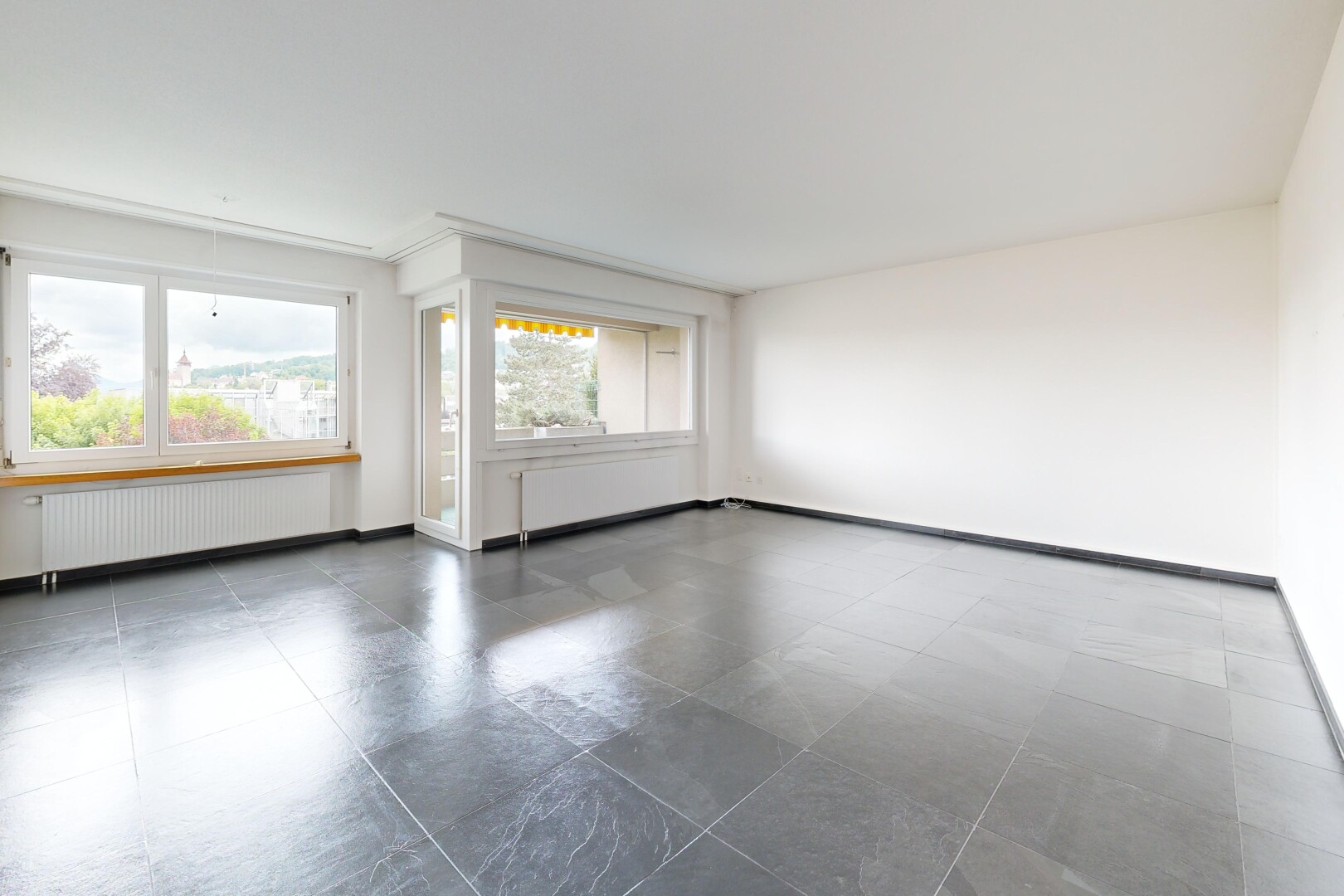 spare room featuring radiator heating unit and dark flooring