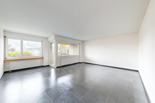 pièce vide avec lumière naturelle, natural light, cloison sèche, drywall, et radiateur