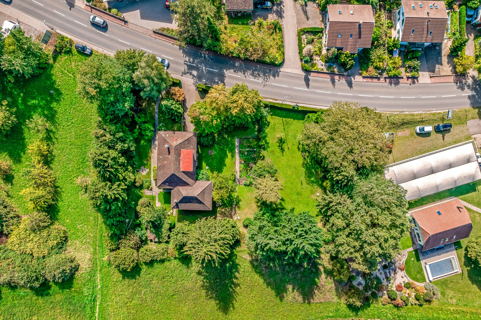 jardin avec aerial view