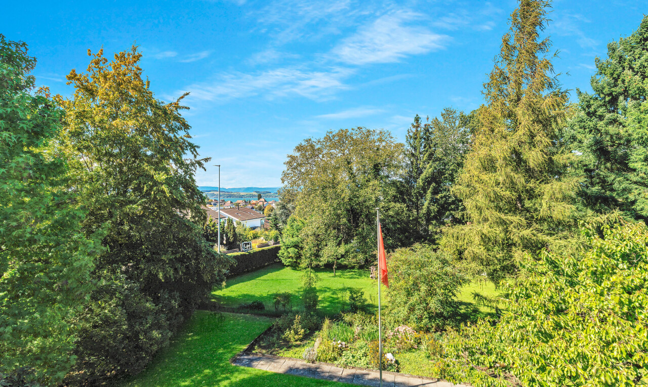 garten mit rasen und day time