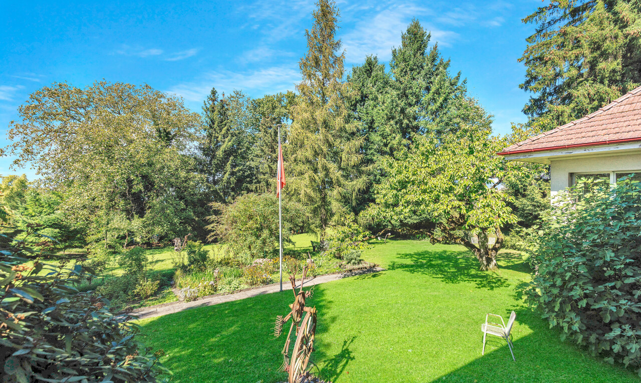 garten mit rasen und day time