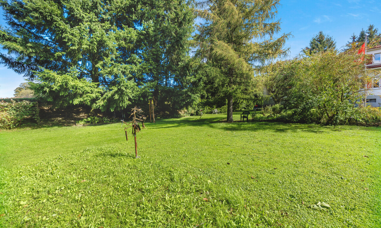 garten mit rasen und day time