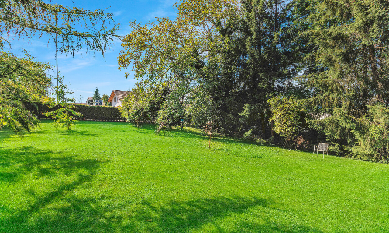 garten mit rasen, day time, und zaun