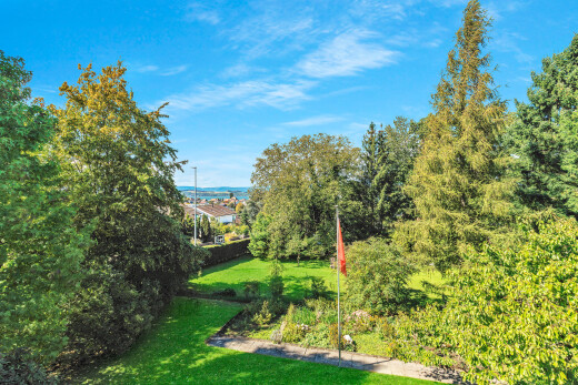 jardin avec pelouse et day time