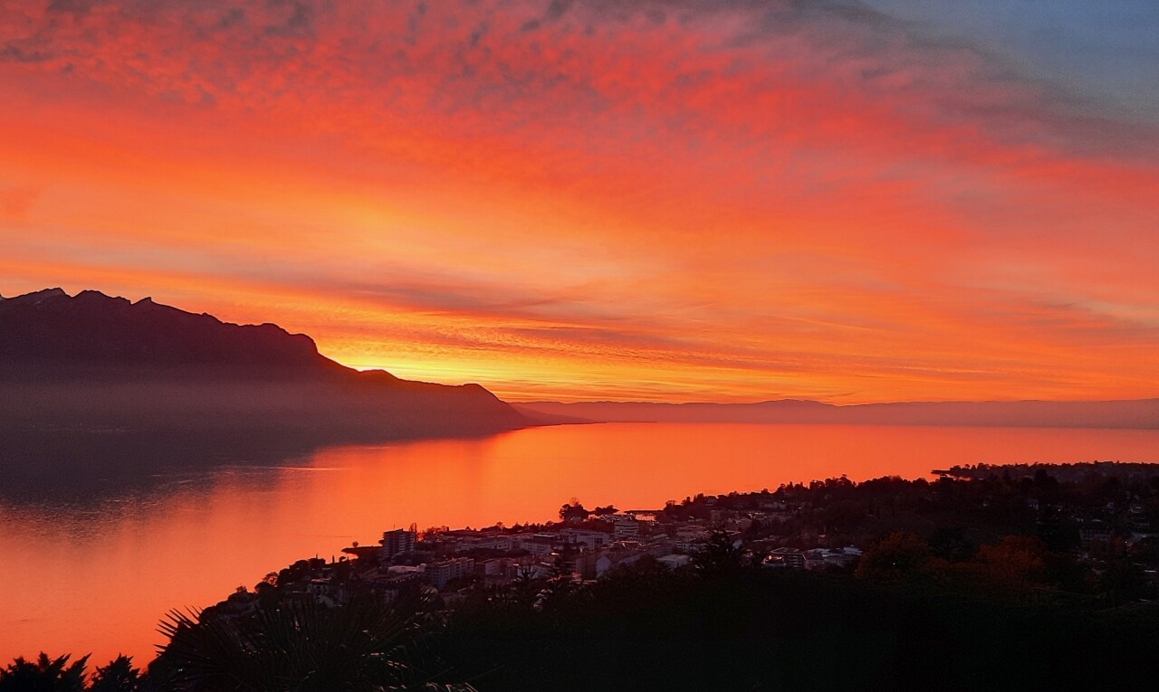 seesicht mit dusk, seesicht, und water view