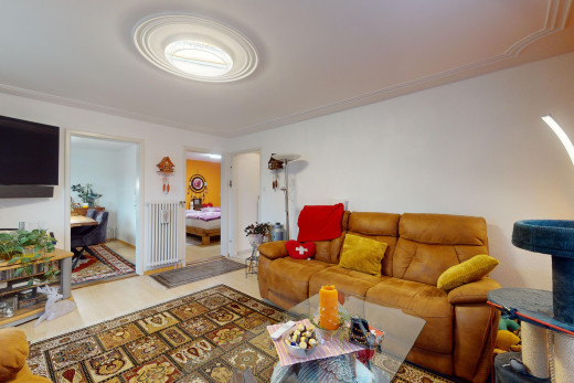 salon avec télévision et plancher de bois