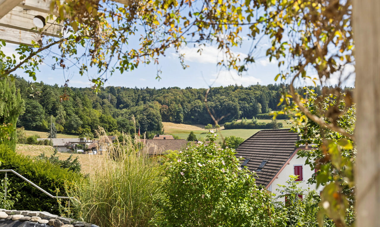 jardin avec view focus, day time, from property, forest view, et vue sur la forêt