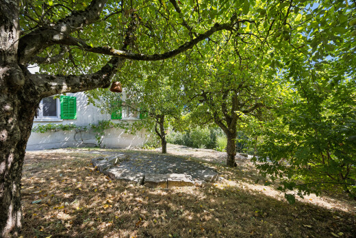 jardin avec property visible et from property