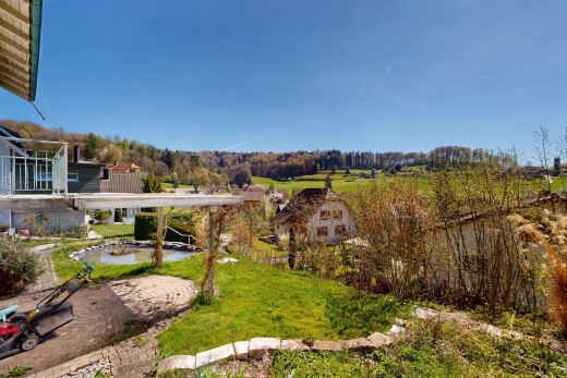 jardin avec day time et pelouse
