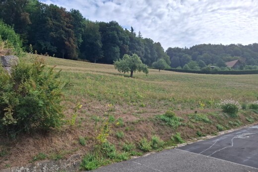 jardin avec vue sur la forêt, forest view, vue rurale, et rural view