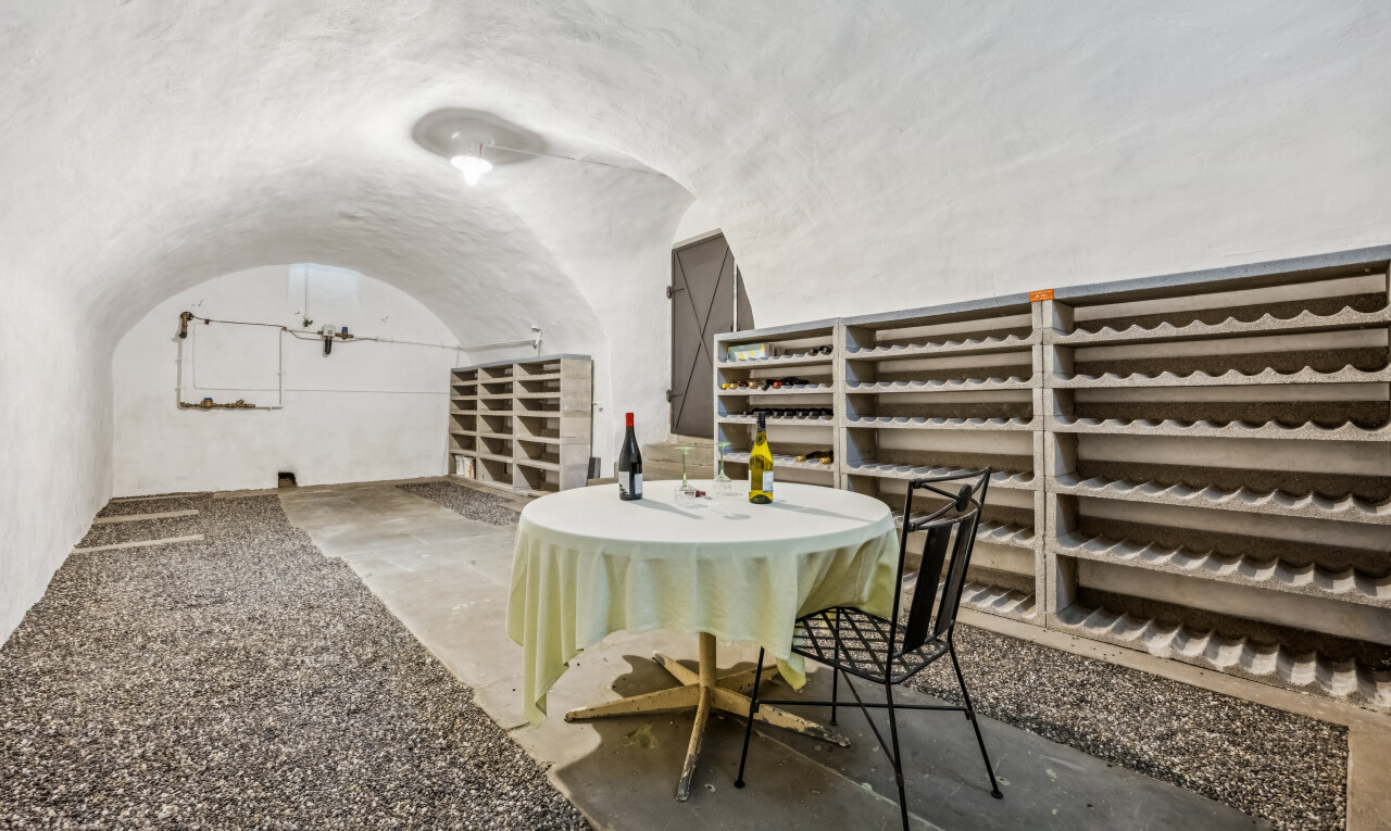 cellar featuring vaulted ceiling