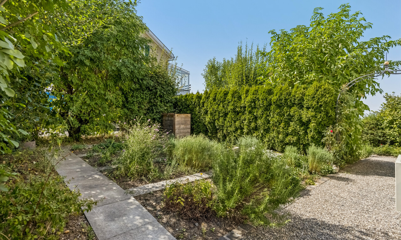 garten mit day time