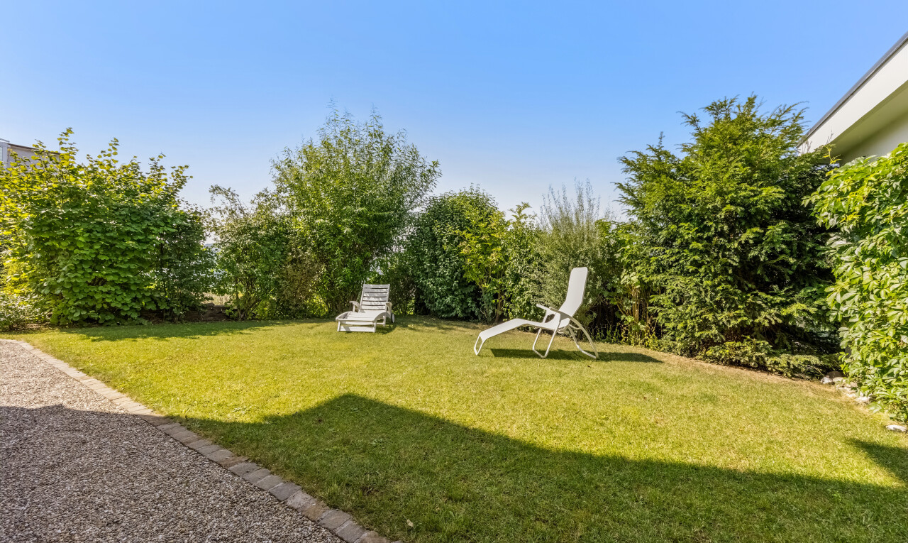 garden with a lawn