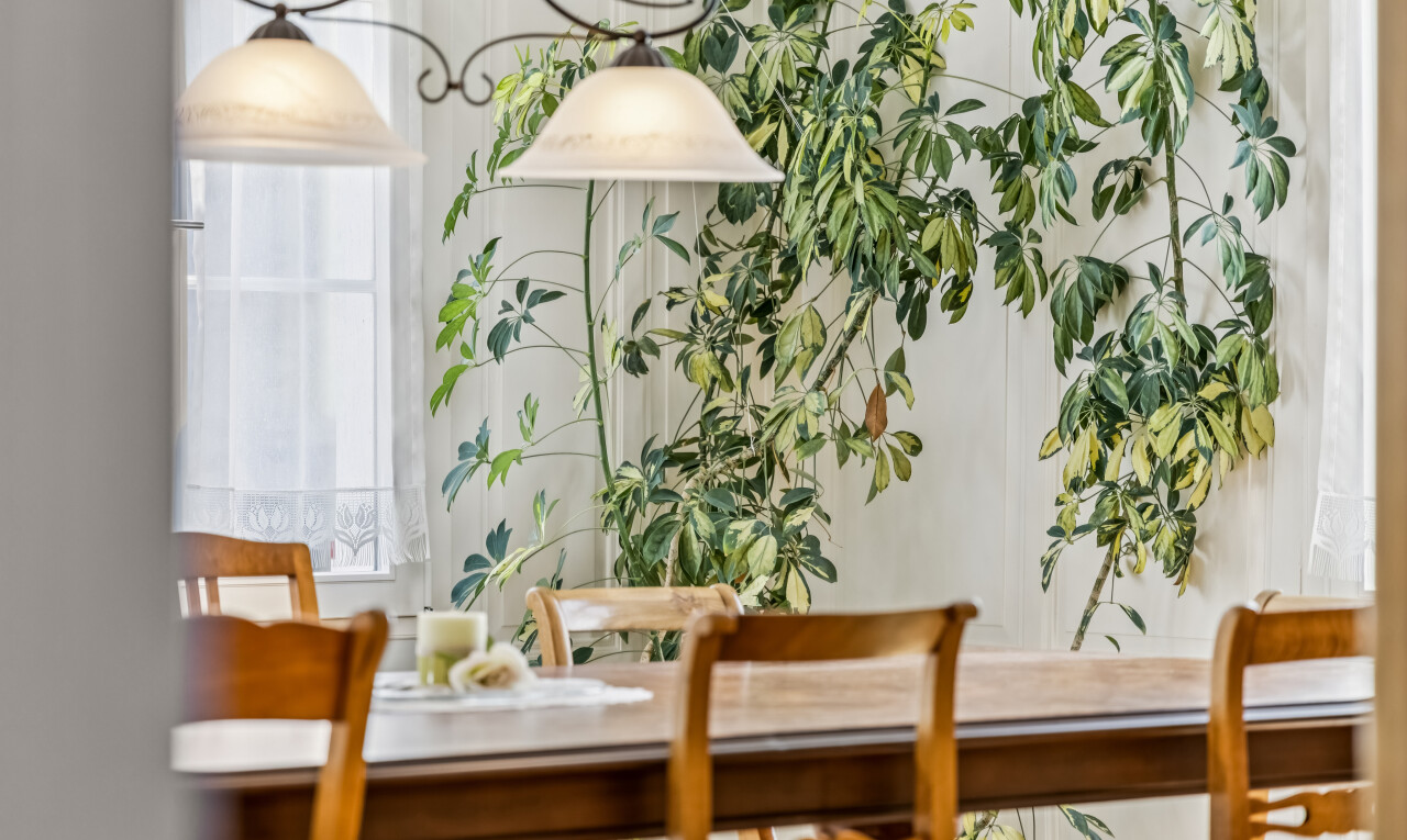 esszimmer mit inside property
