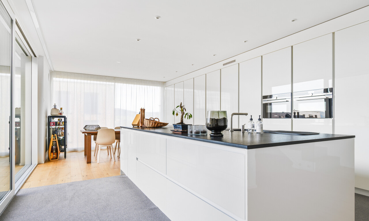küche mit schränke mit flachen paneelen, natürliches licht, natural light, doppel backofen, und weiße schränke
