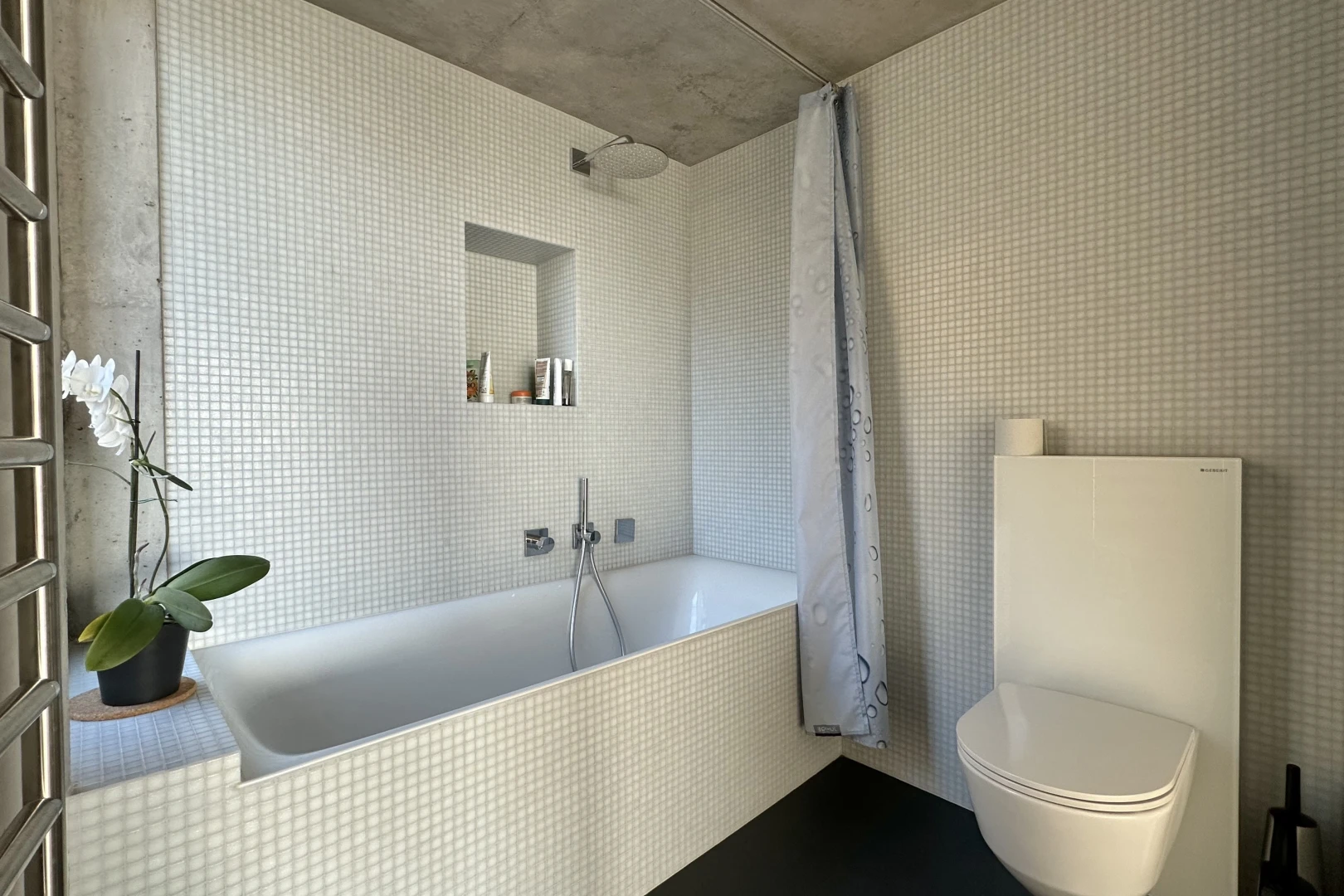 salle de bains avec toilettes et bain-douche