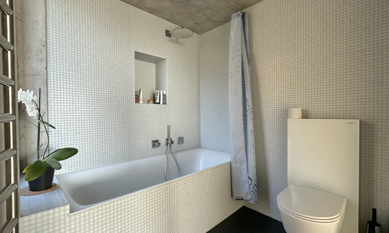 salle de bains avec toilettes et bain-douche