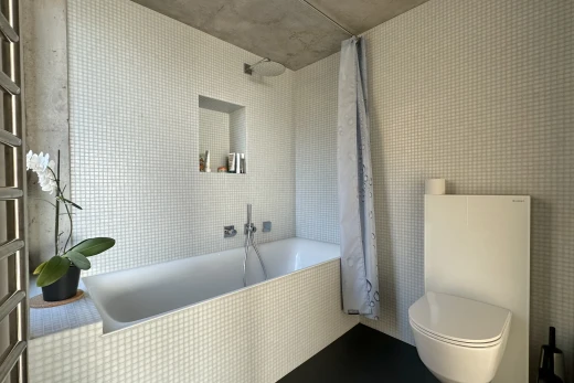 salle de bains avec toilettes et bain-douche
