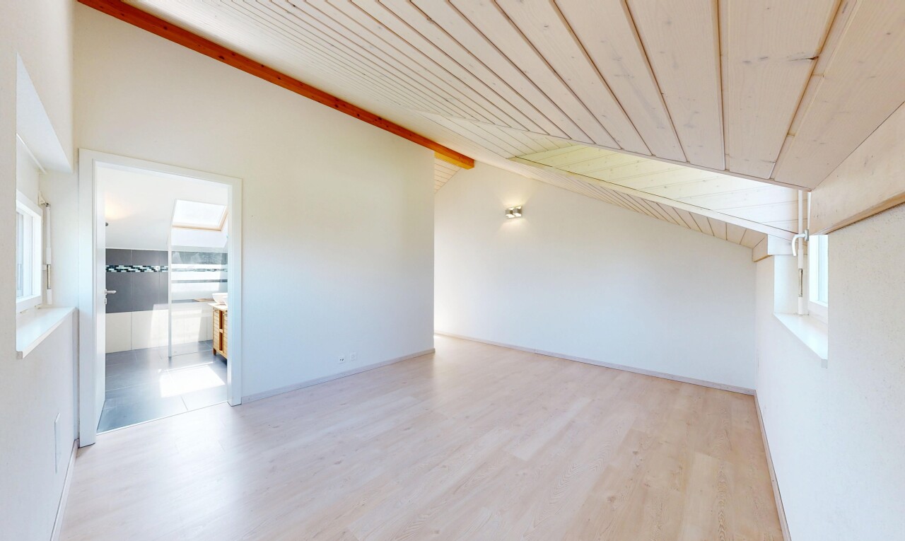 pièce vide avec plafond voûté, vaulted ceiling, plafond en bois, wood ceiling, et cloison sèche