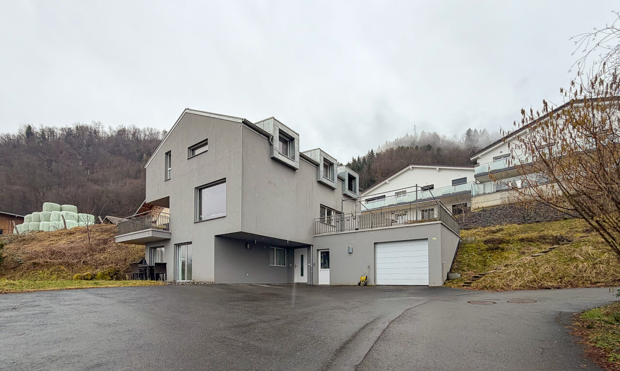façade avec overcast, bardage en stuc, et allée