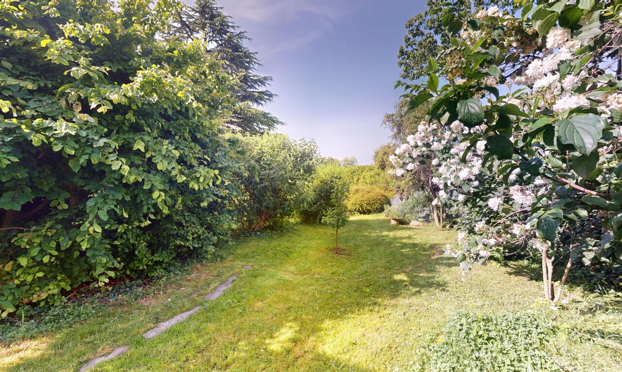 jardin avec pelouse
