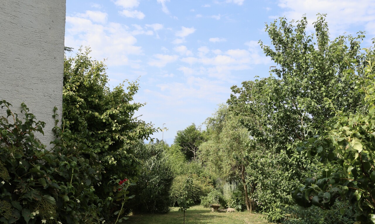 jardin avec day time