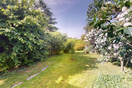 jardin avec pelouse