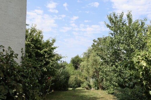 jardin avec day time