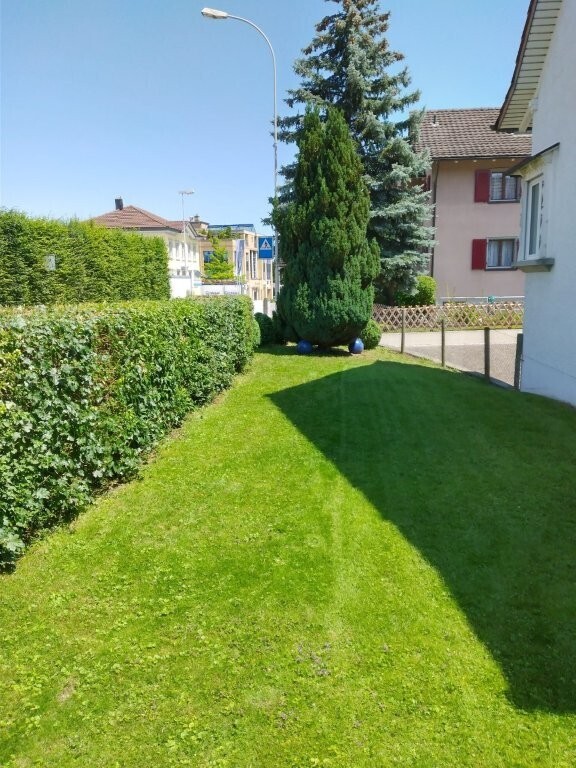 garten mit rasen, zaun, und day time