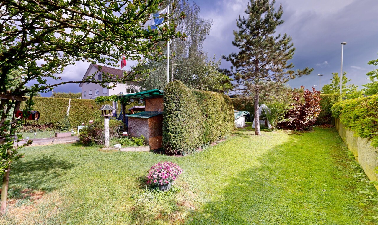 garten mit rasen