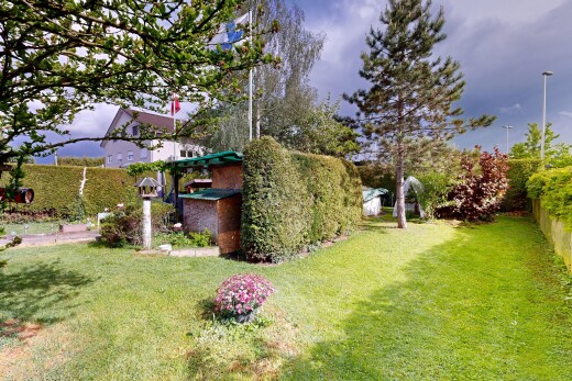 garten mit rasen