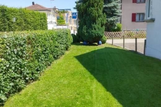garten mit rasen, zaun, und day time
