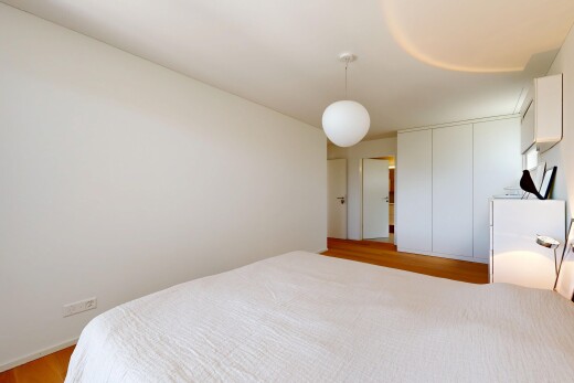 room featuring pendant lighting, light wood finished floors, and a closet