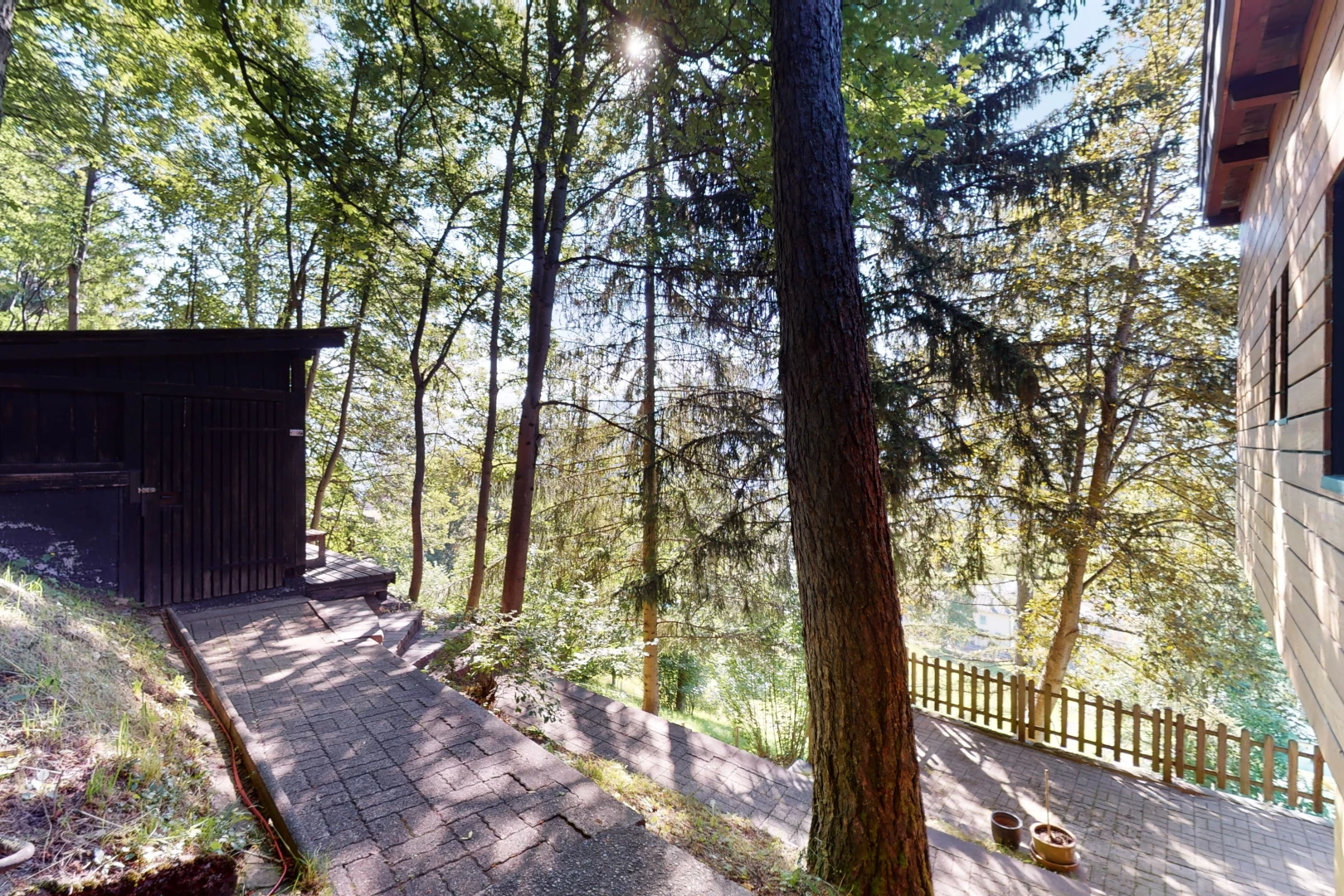 jardin avec clôture