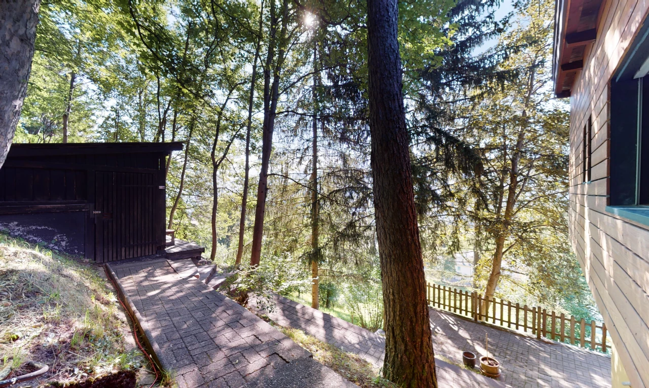 jardin avec clôture