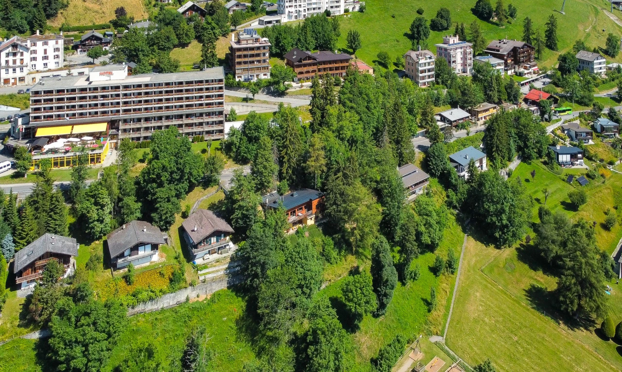 espace extérieur avec pelouse