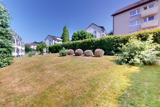 garten mit rasen
