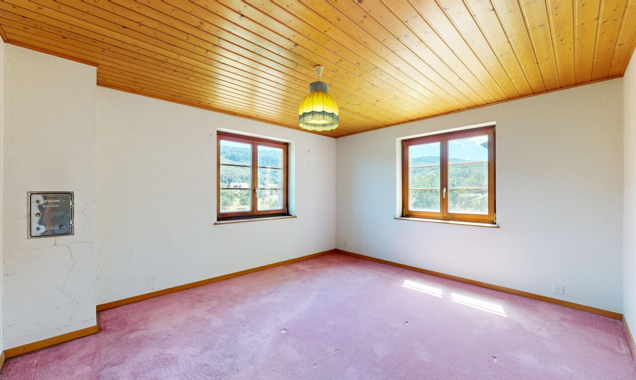 pièce vide avec plafond en bois, wood ceiling, moquette, carpet, et plinthes murales
